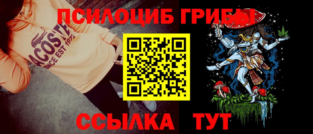 Галлюциногенные грибы Magic Shrooms  Галлюциногенные грибы Psilocybe  Саратов  Вход с VPN 